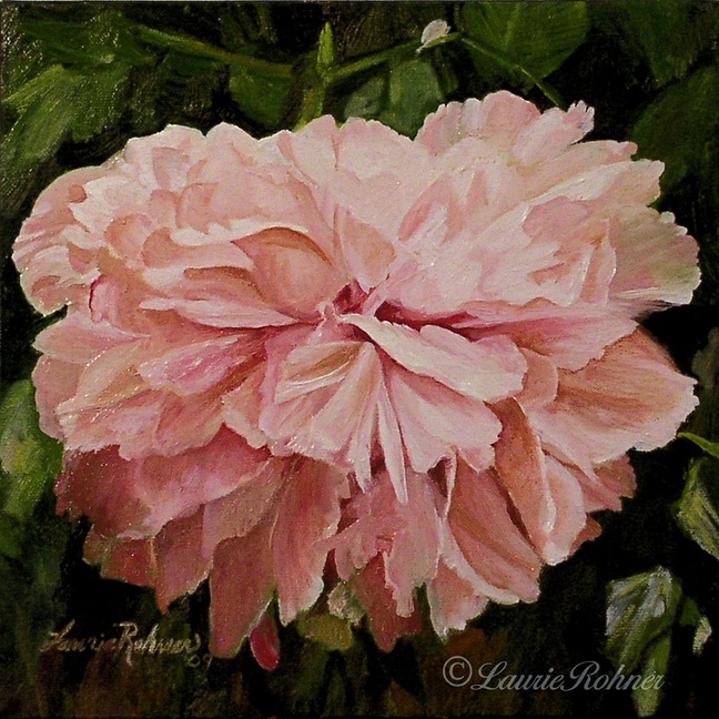 Pink Peony Oil Paining by Laurie Rohner