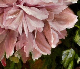 close up of pink peony painting