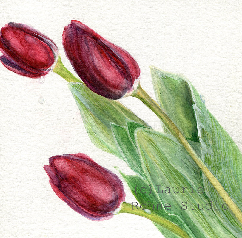 red tulip flower watercolor