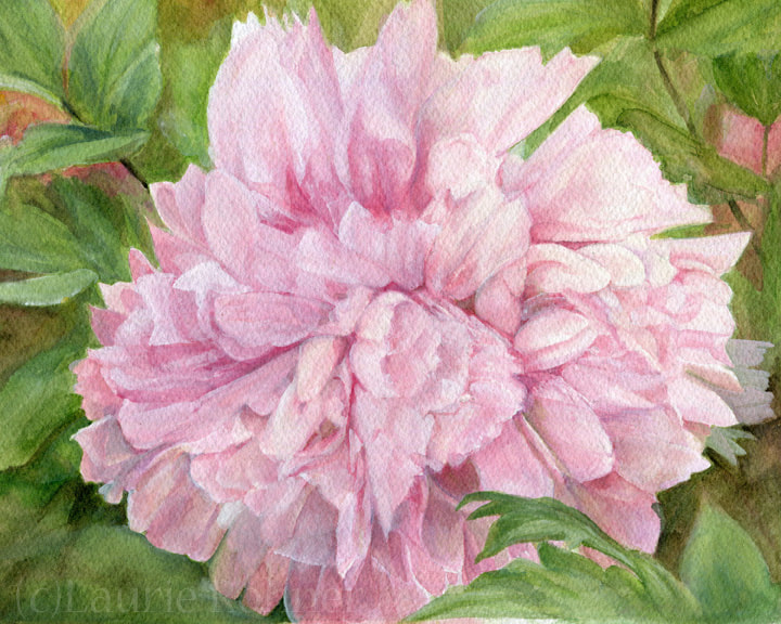 Botanical Art Watercolor