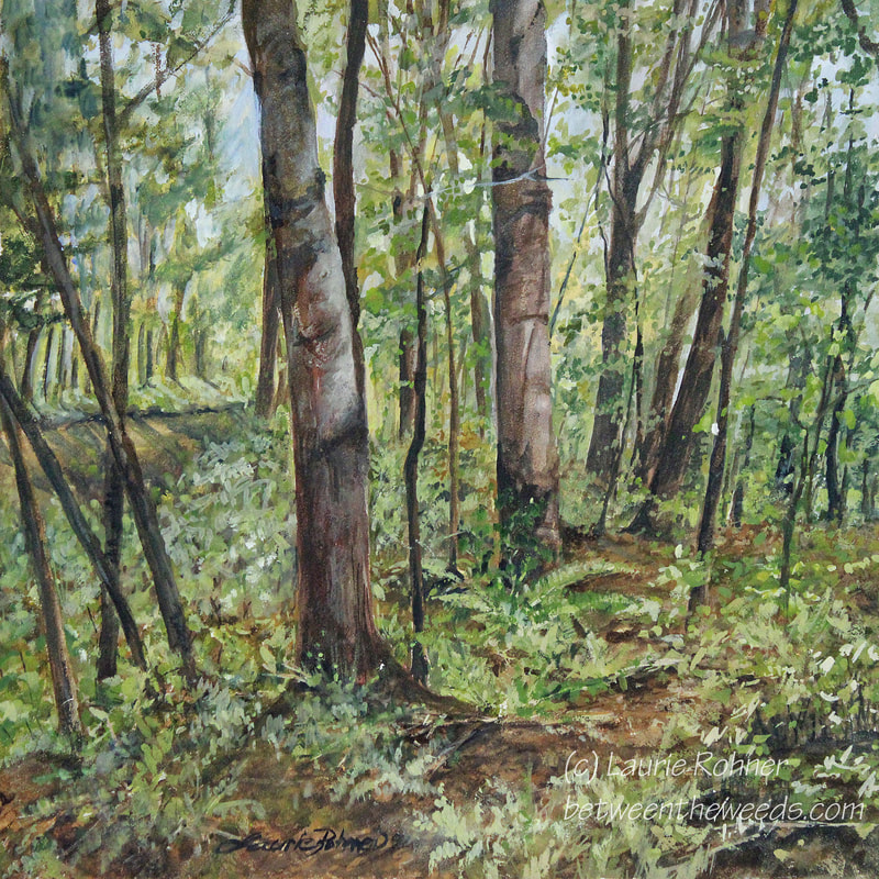 WOODLAND FOREST WATERCOLOR